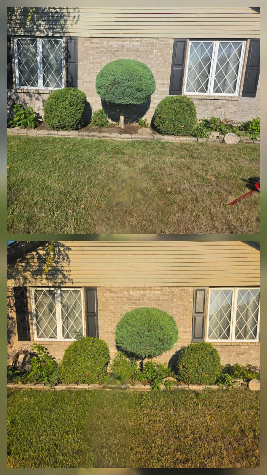 Before and after shrub trimming at a Rockford, IL home