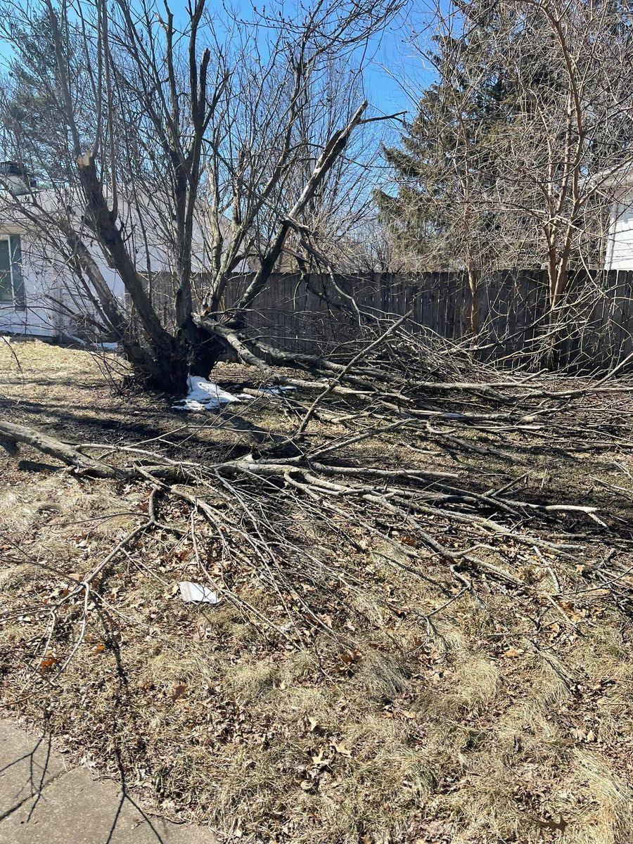 Cut branches and brush stacked for removal in a Rockford, IL yard