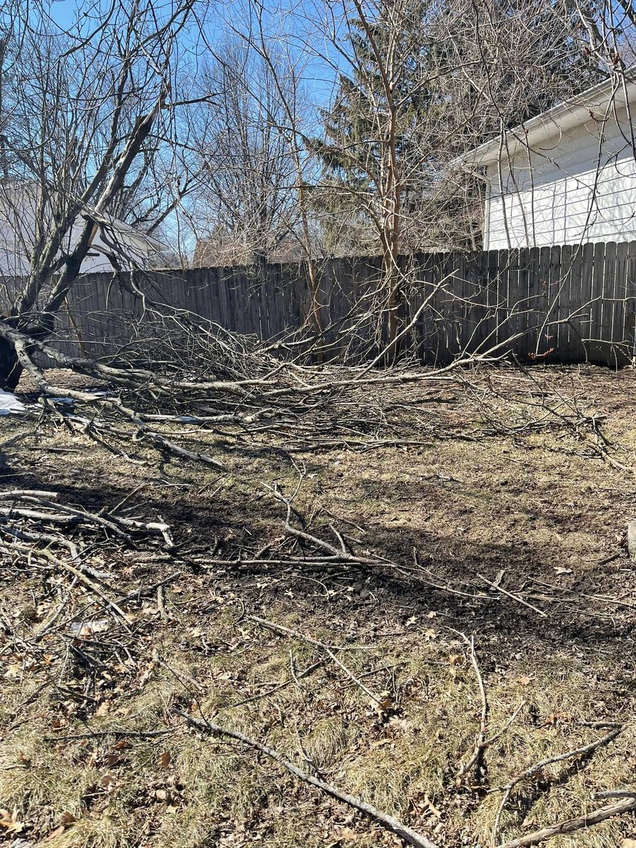 Brush and branches cleared from a back yard in Rockford, IL
