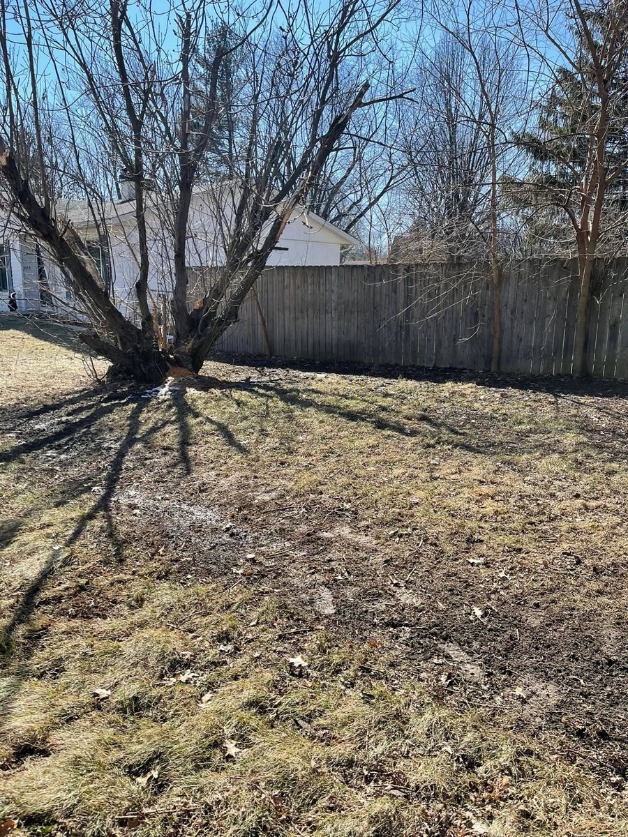 Fallen branches gathered up during a yard clean up in Rockford, IL