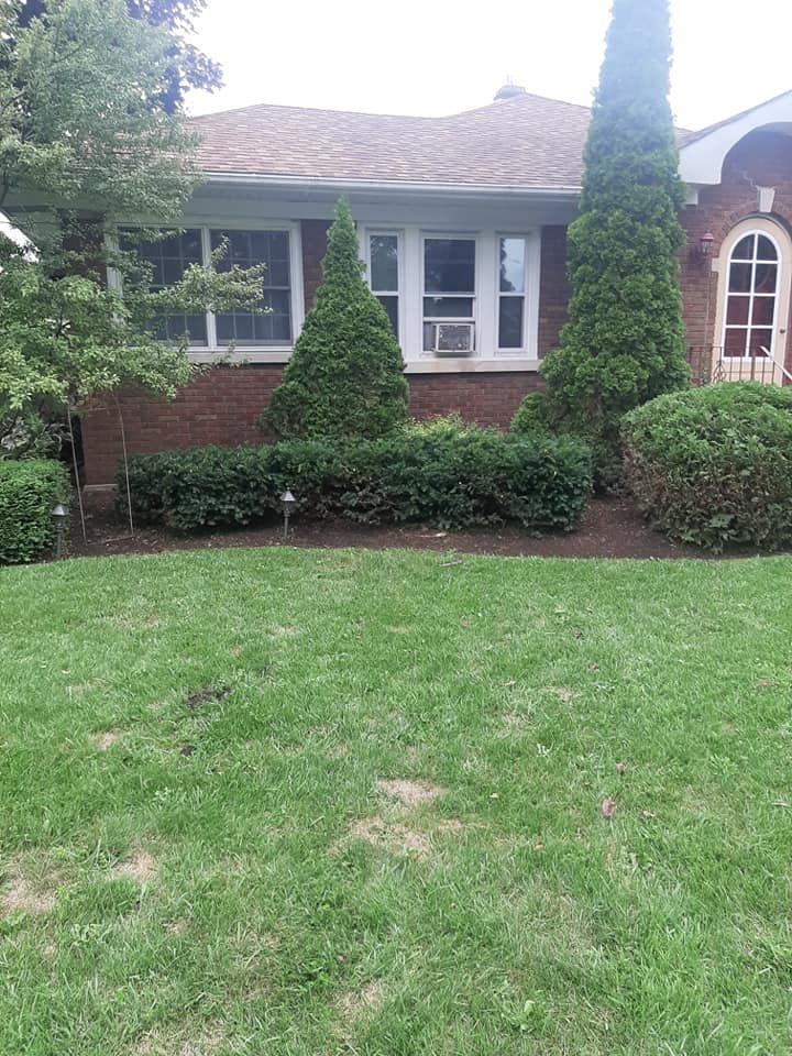 Trimmed shrubs in front of a brick home in Rockford, IL