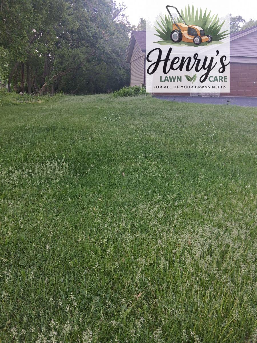 Lawn care and landscaping work by Henry’s Lawn Care in Rockford, IL
