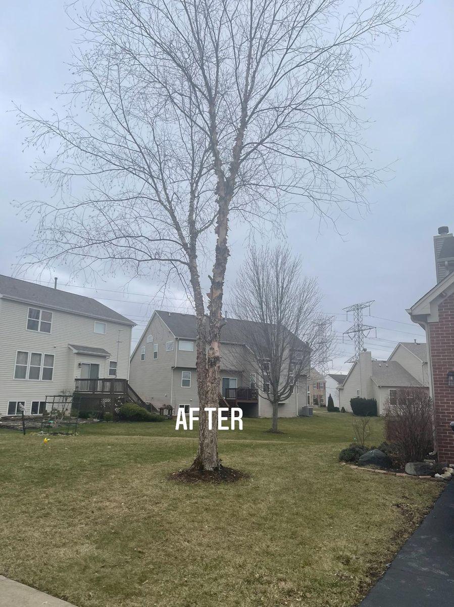 Lawn care and landscaping work by Henry’s Lawn Care in Rockford, IL