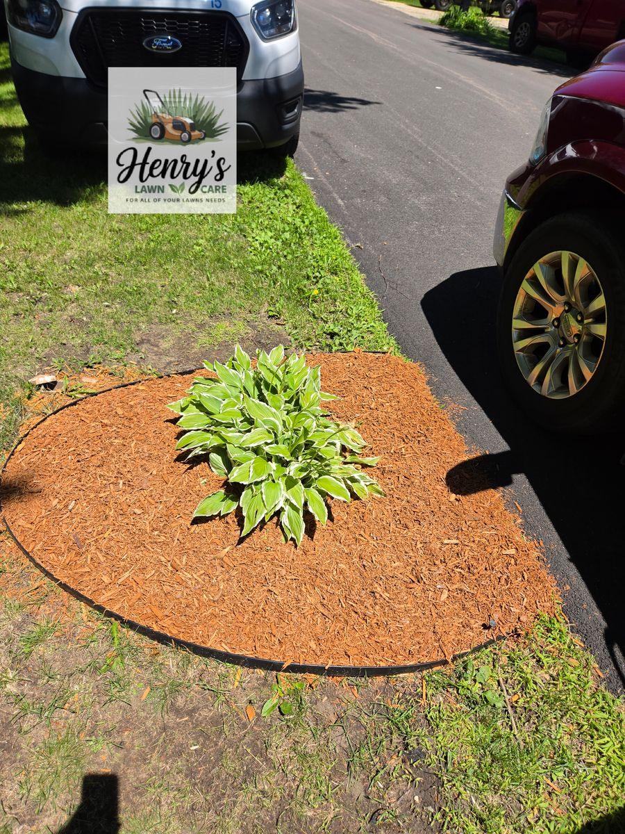 Mulch ring edged around a plant in a Rockford, IL front yard