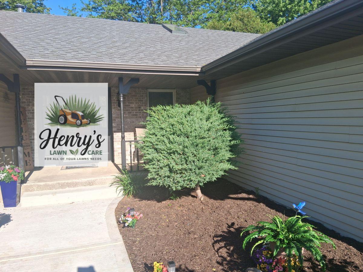 Rounded shrub trimmed beside a front entry in Rockford, IL
