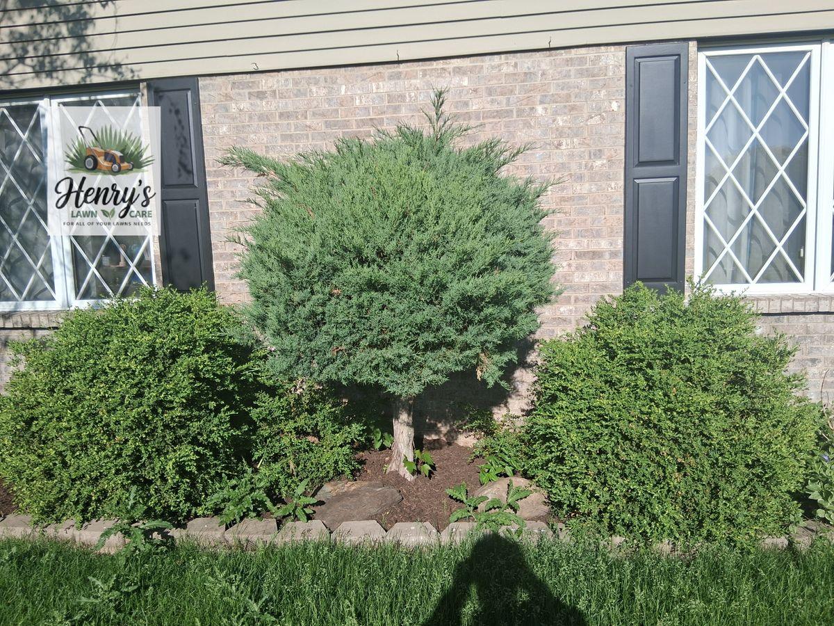 Front bed of trimmed shrubs with stone edging in Rockford, IL