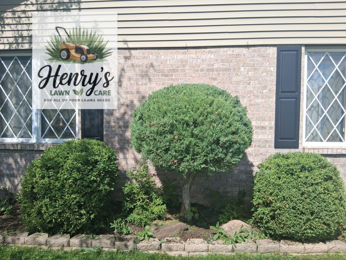 Shrubs and evergreens pruned back at a Rockford, IL home